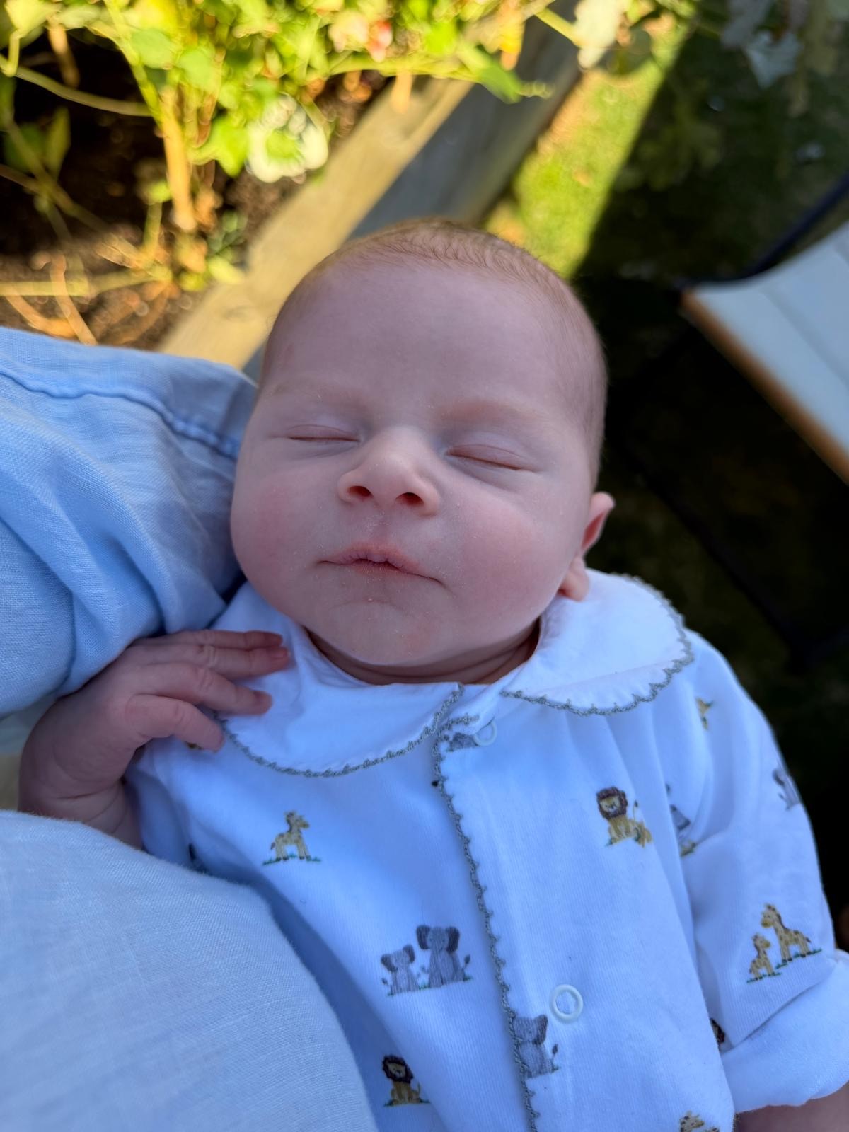 Baby Dom
